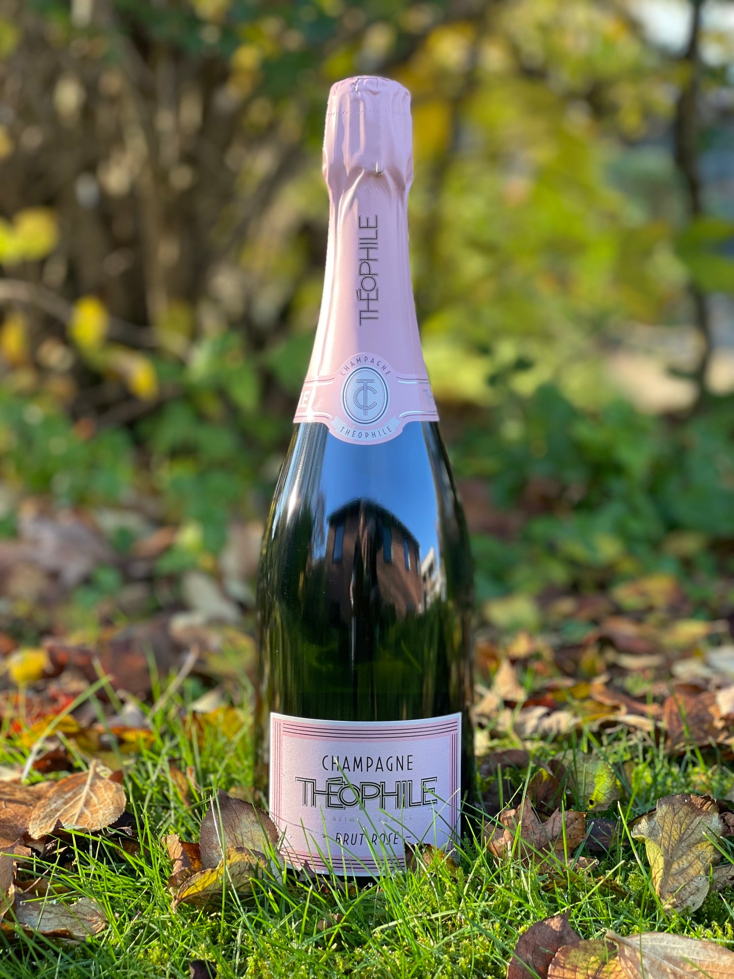 NV Théophile Rosé