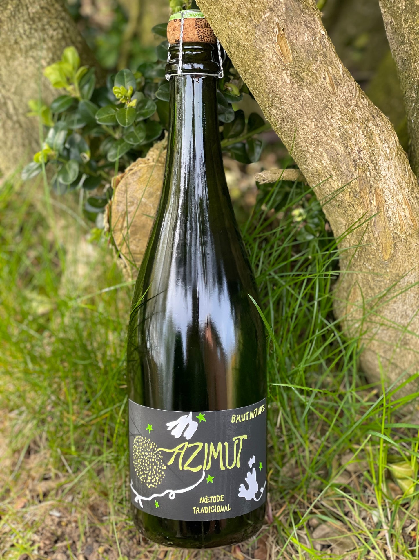 2023 Cava Brut Nature