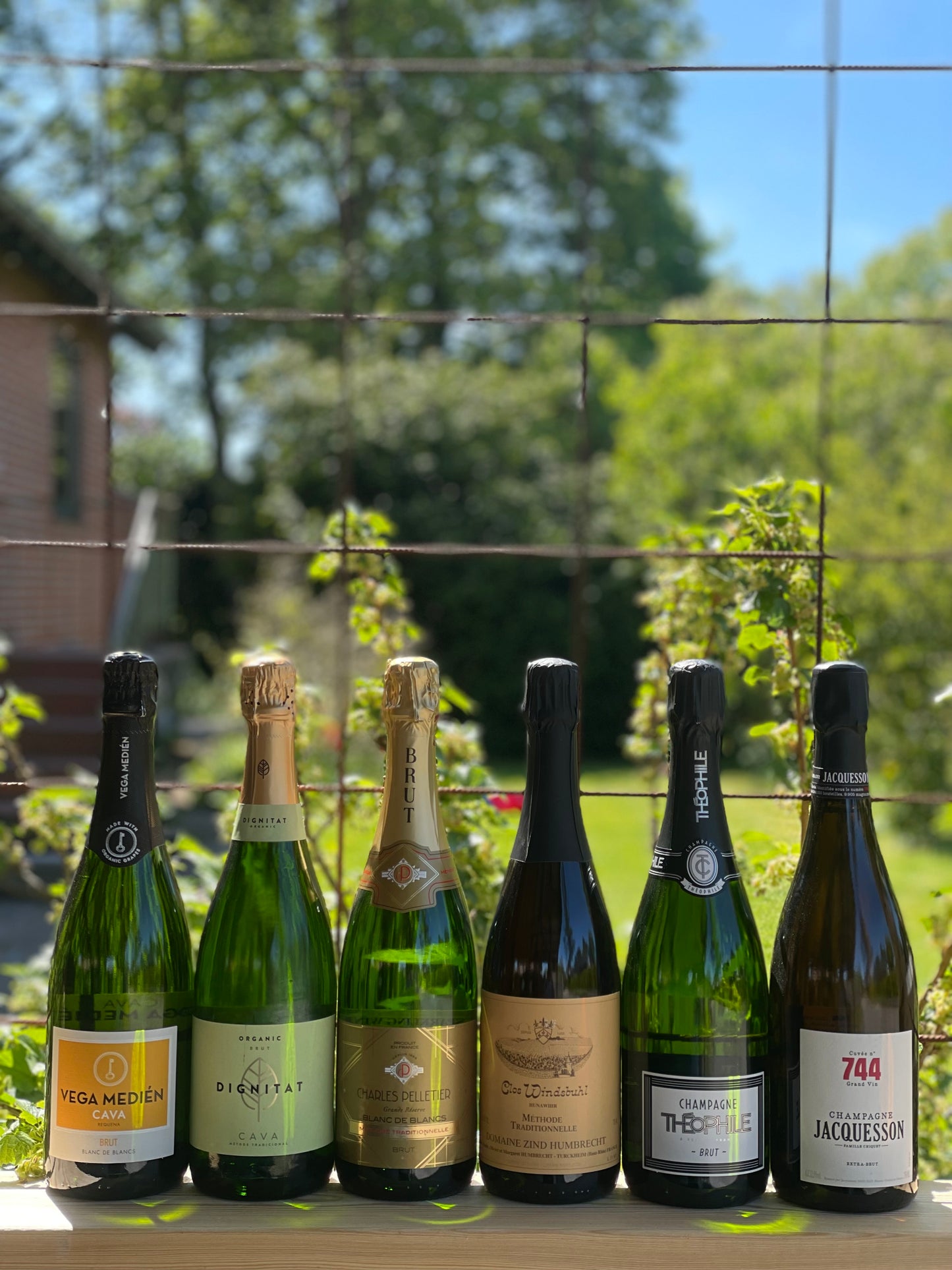 Mousserende – fra Cava til Champagne