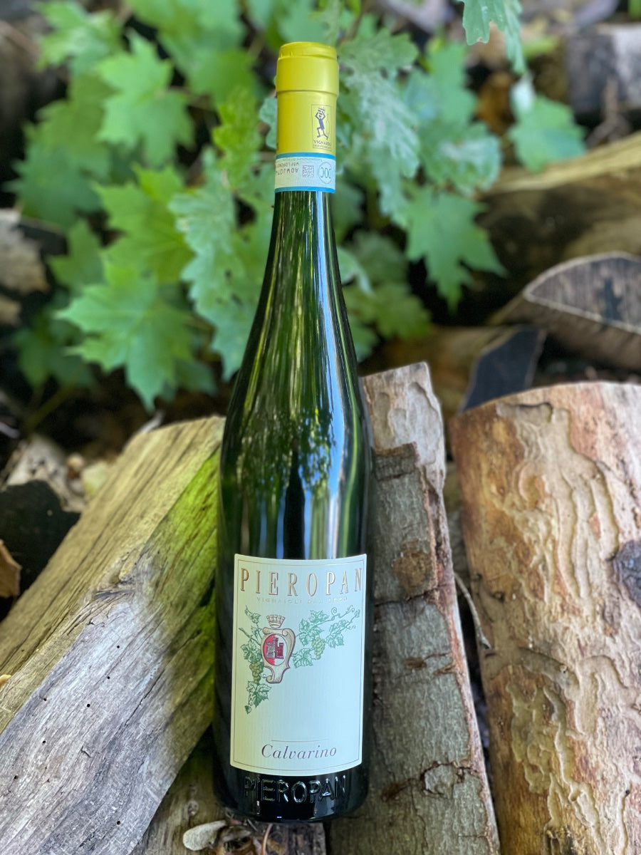2024 Calvarino Soave Classico