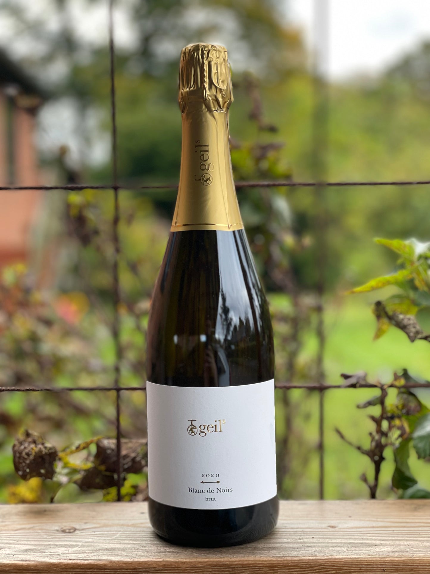 2020 Blanc de Noirs Brut