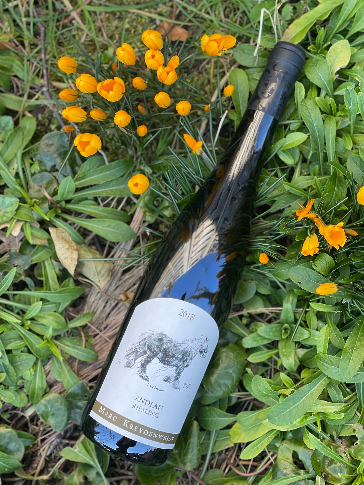 2018 Riesling “Andlau”