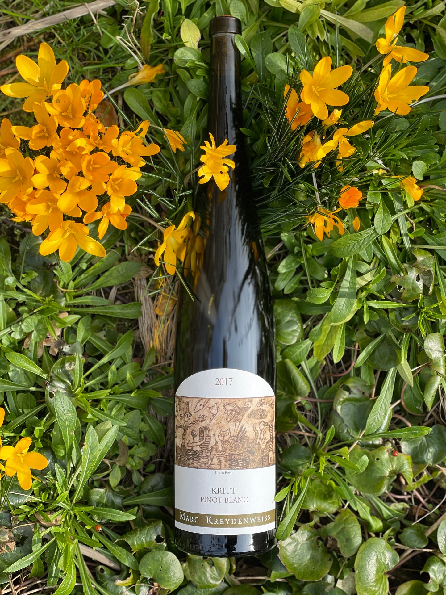 2017 Pinot Blanc "Kritt" MG