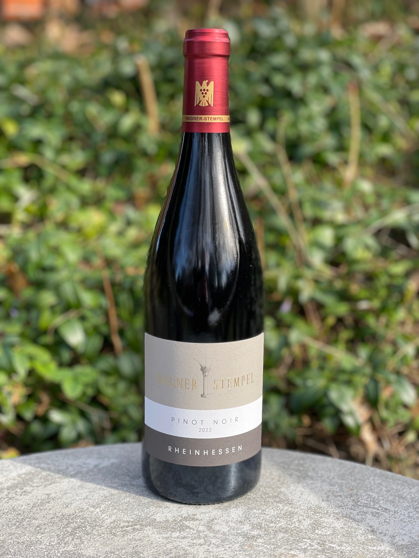 2022 Pinot Noir