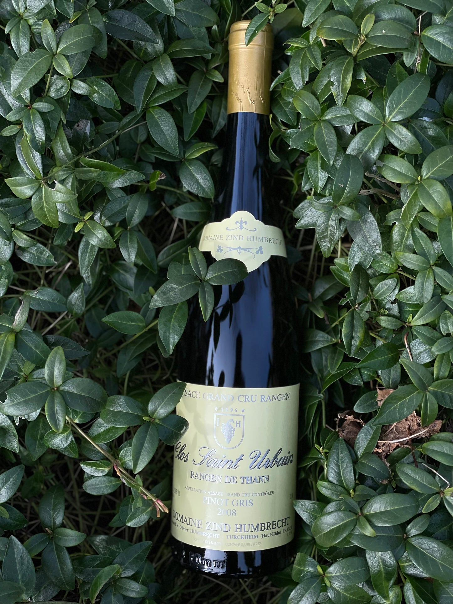 2008 Pinot Gris "Clos Saint Urbain"