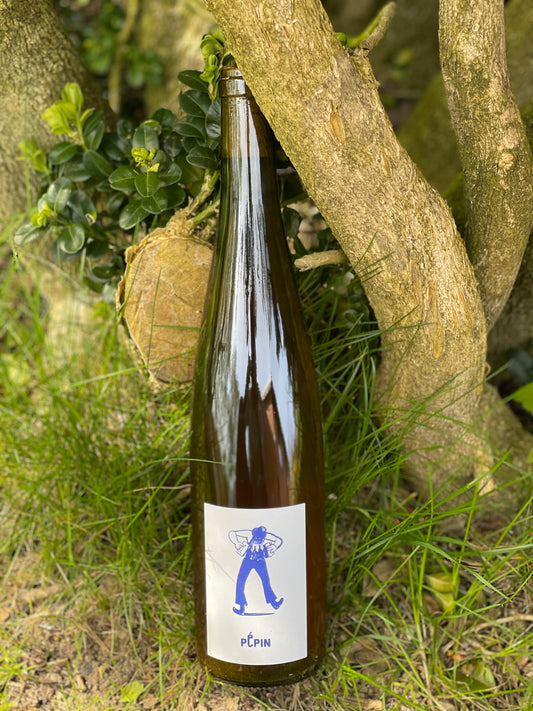 2022 Orange "Gewürztraminer"