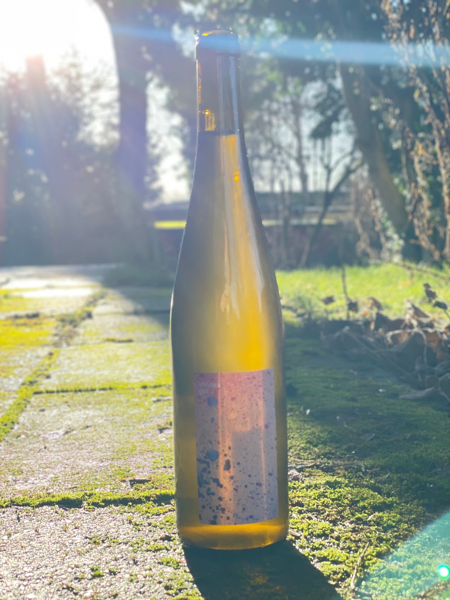 2022 Chardonnay