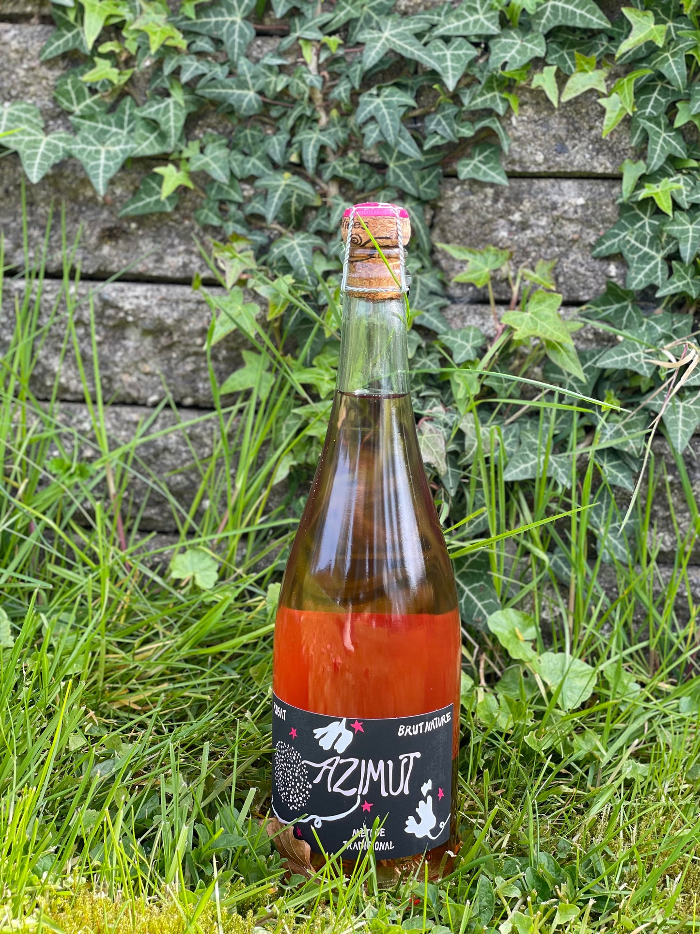 2022 Cava Rosat Brut Nature