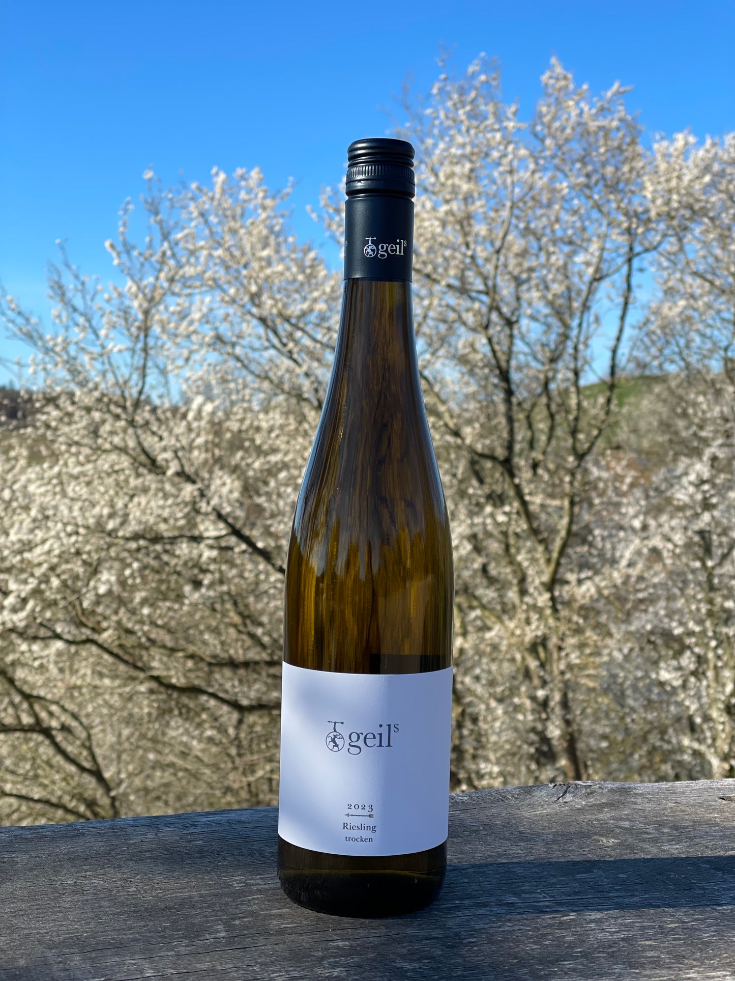 2023 Riesling Trocken