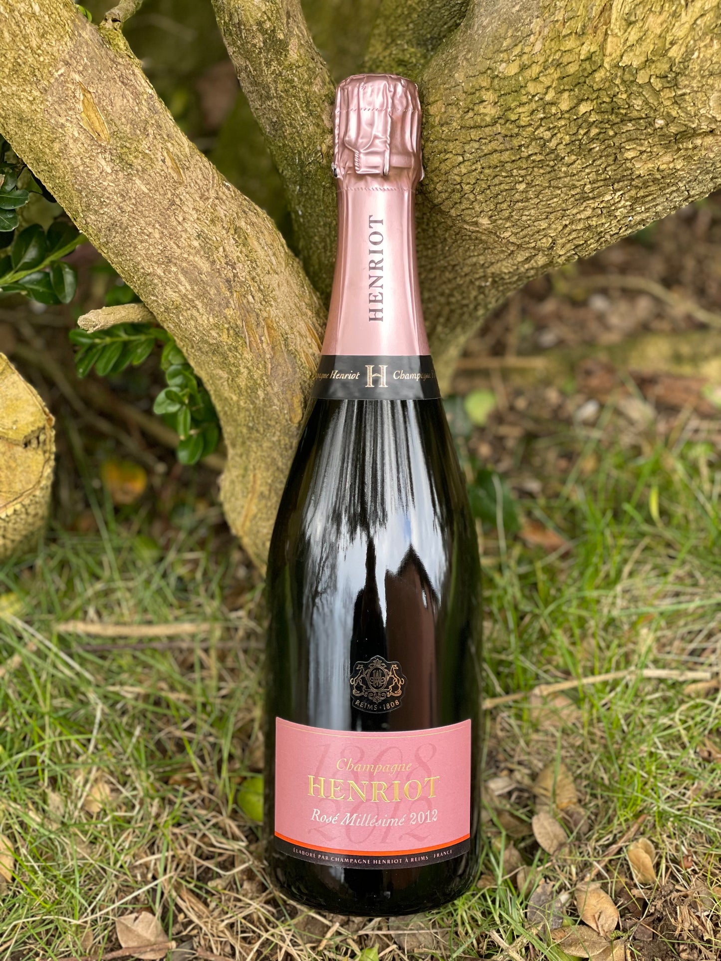 2012 Rosé Brut