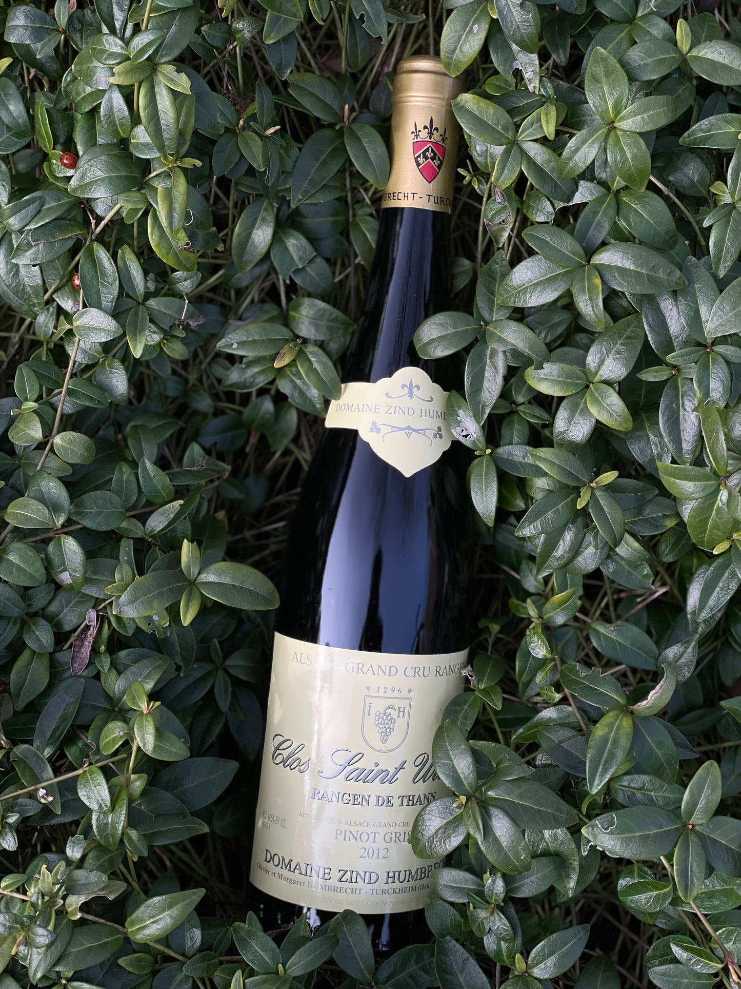 2012 Pinot Gris "Clos Saint Urbain"