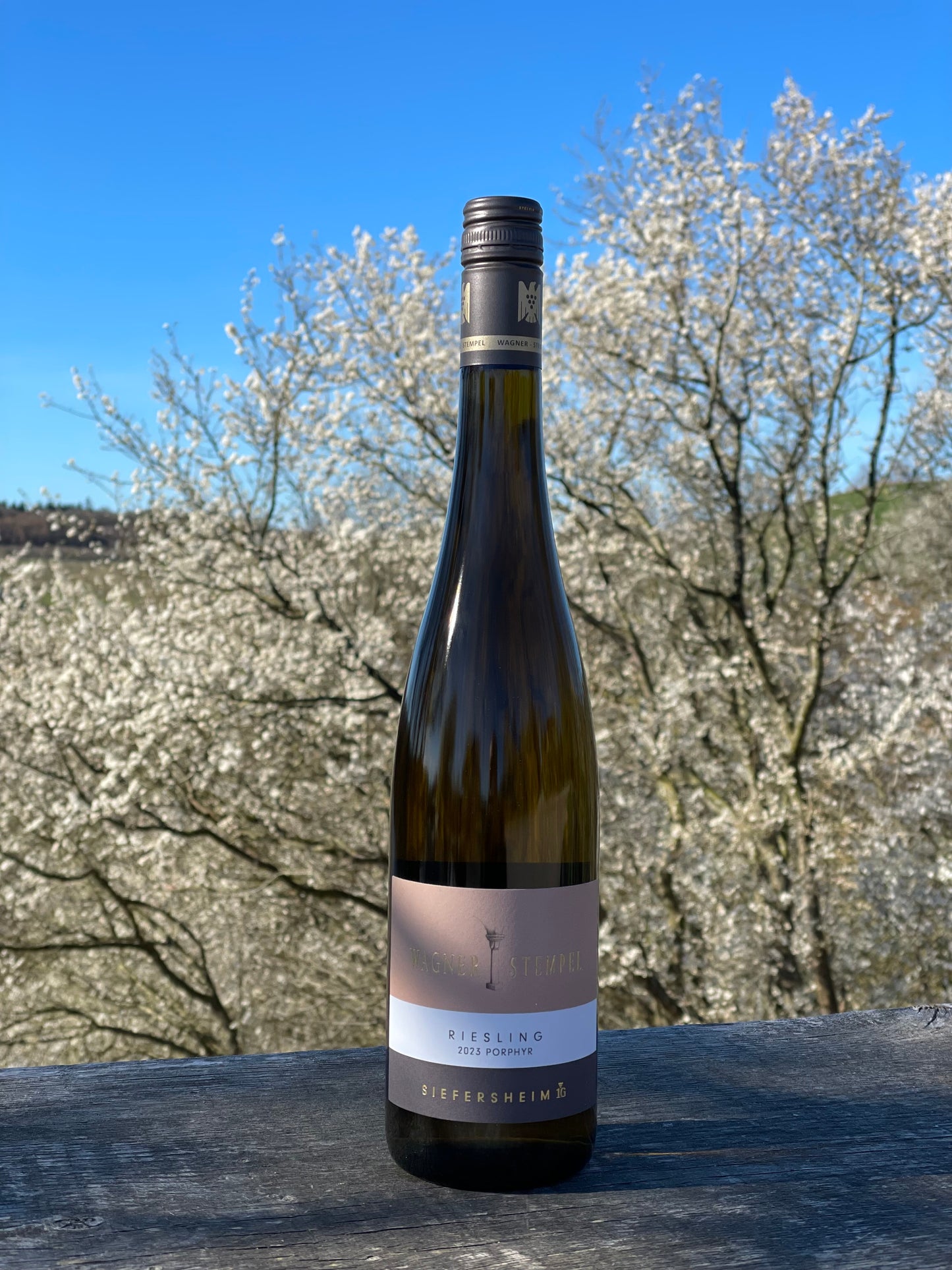 2023 “Siefersheim” Riesling Porphyr Erste Lage