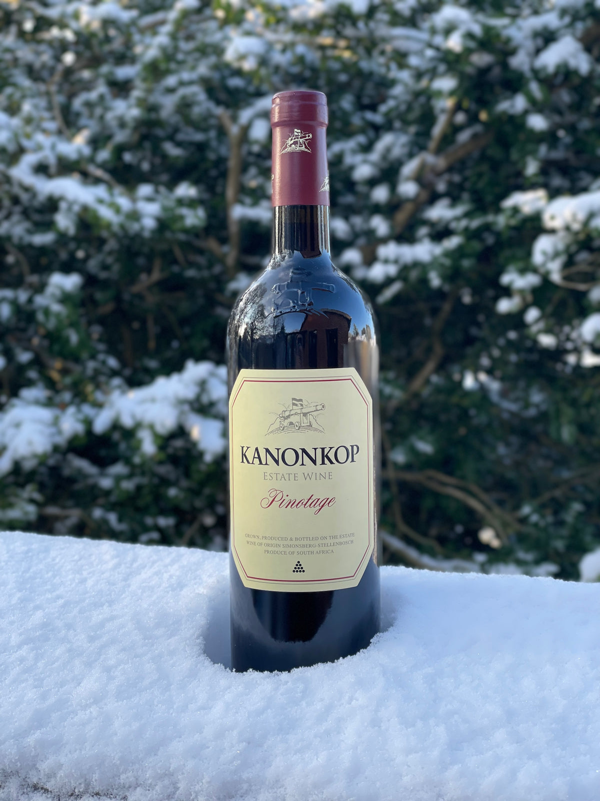 2021 Pinotage