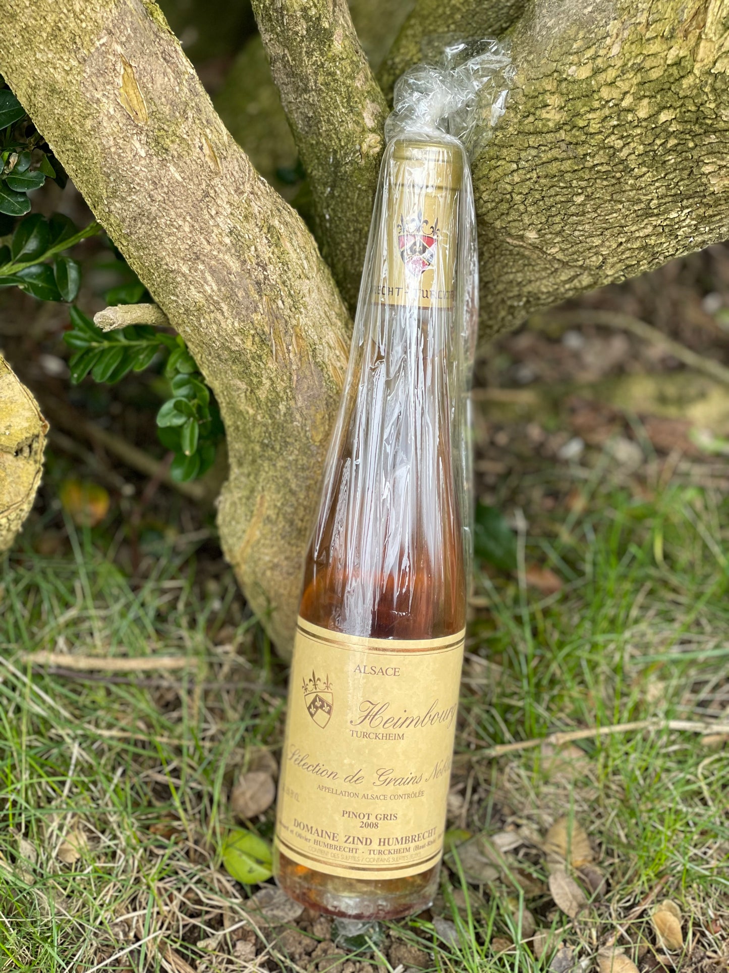 2008 Pinot Gris "Heimbourg", Sélection de Grains Nobles 1/2