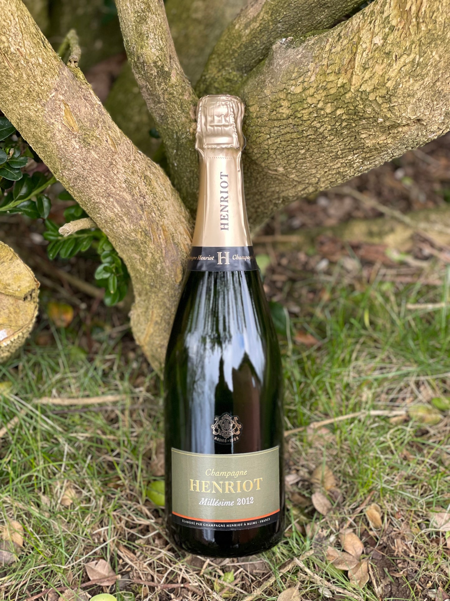 2012 Brut
