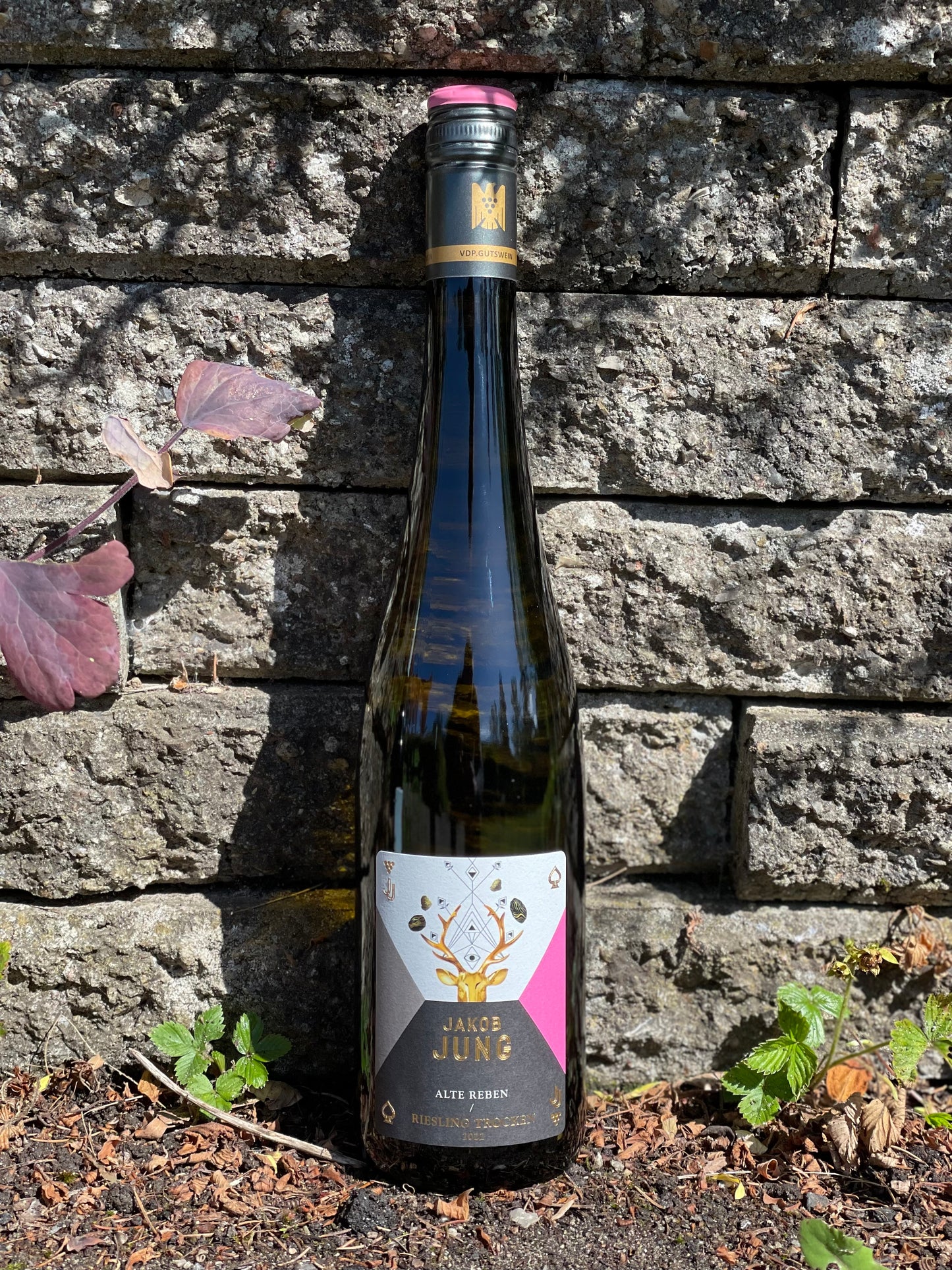 2023 Riesling Trocken "Alte Reben"