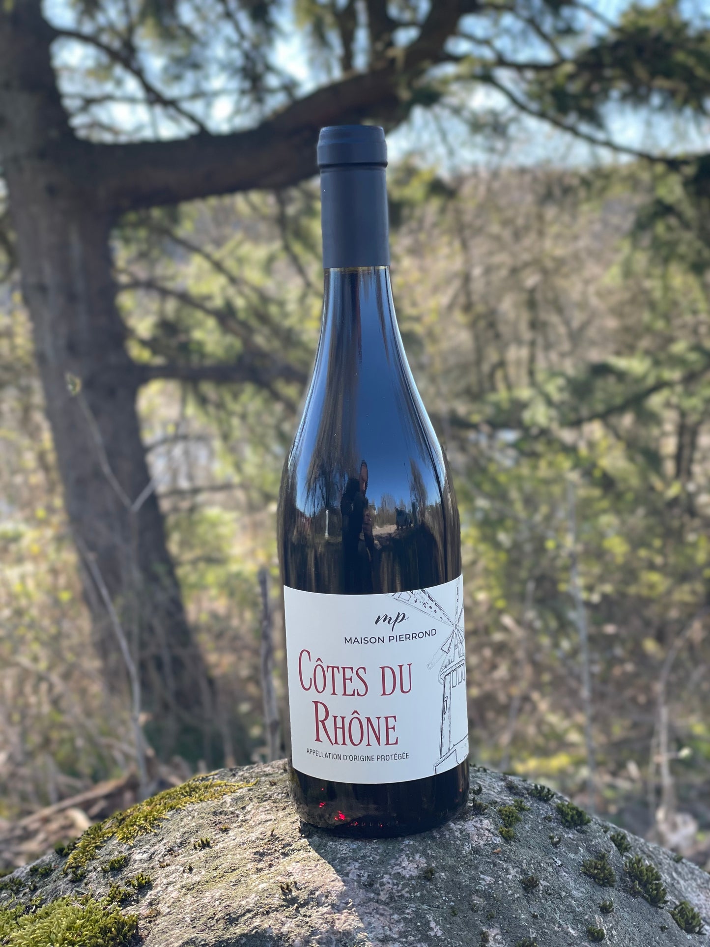 2022 Côtes du Rhône