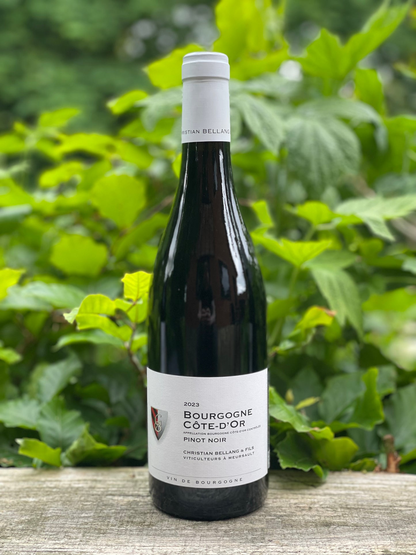 2023 Bourgogne Pinot Noir