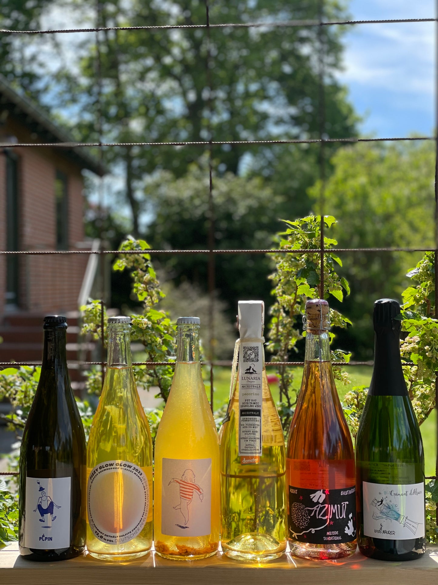Mousserende naturvin – spræl, syre og spontanitet