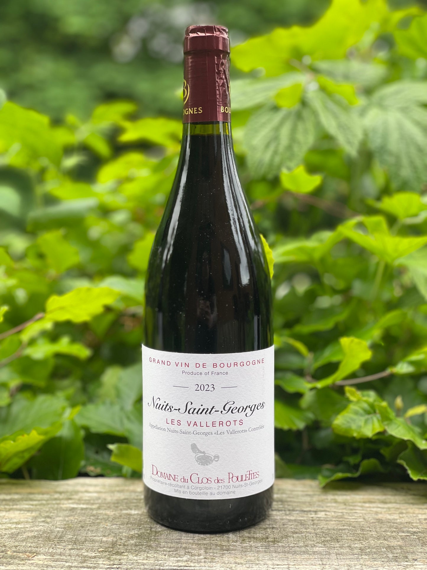 2023 Nuits Saint Georges "Les Vallerots"