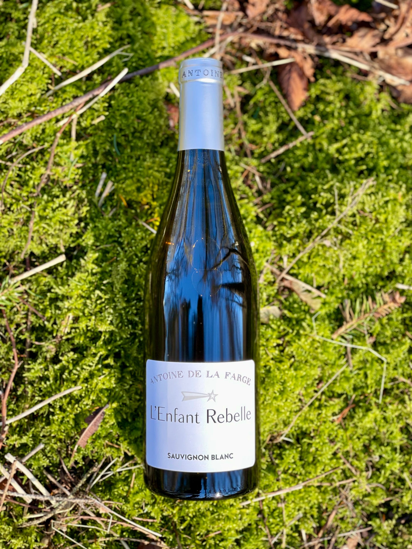 2021 Sauvignon Blanc “L’Enfant Rebelle”