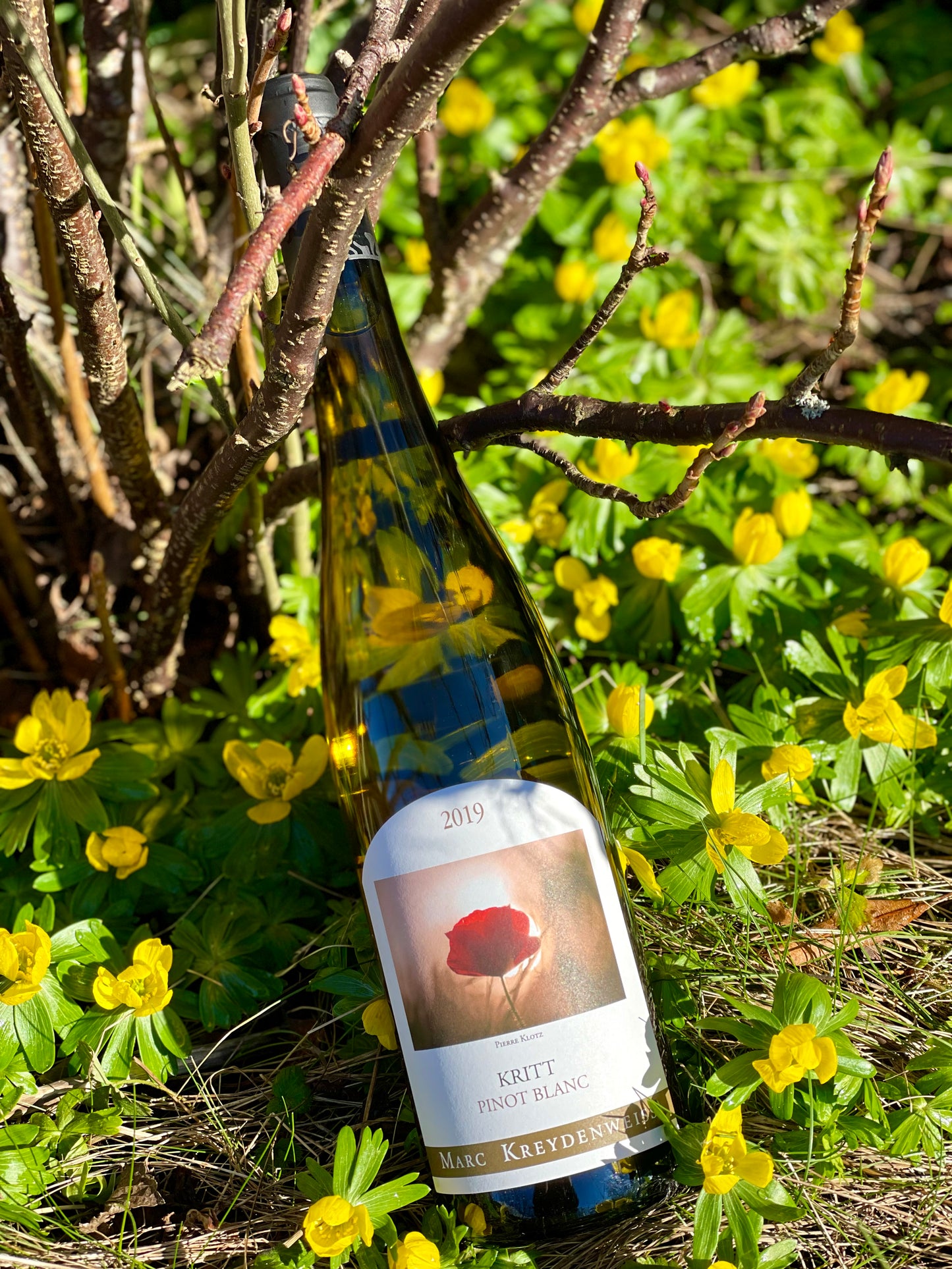 2019 Pinot Blanc "Kritt"