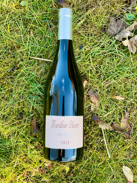 2020 Chardonnay “Morillon Blanc”