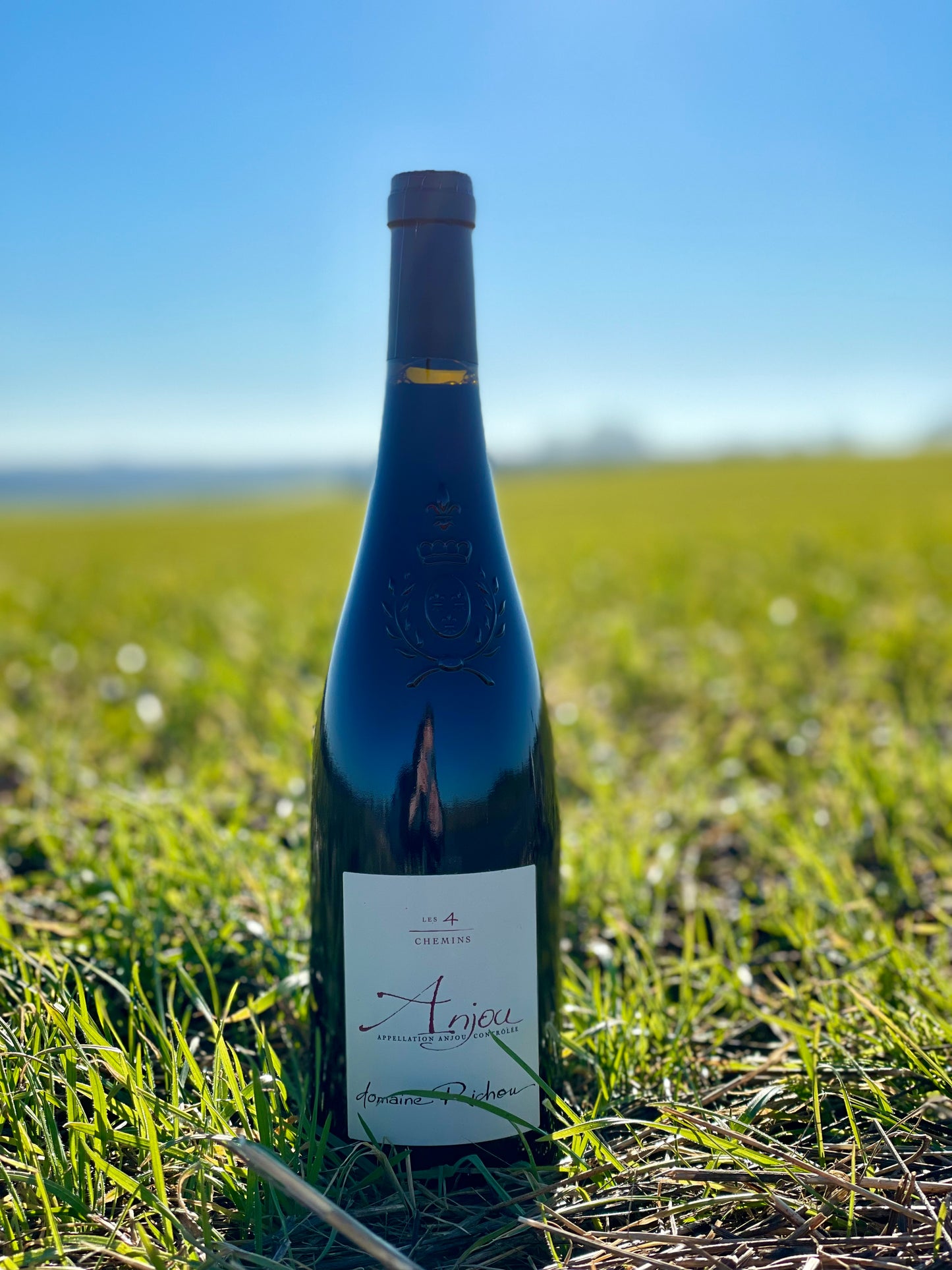 2017 Anjou Rouge “Les 4 Chemins”