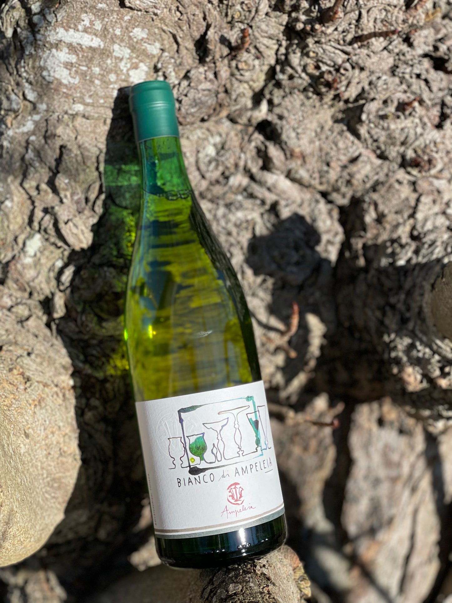 2020 Bianco di Ampeleia