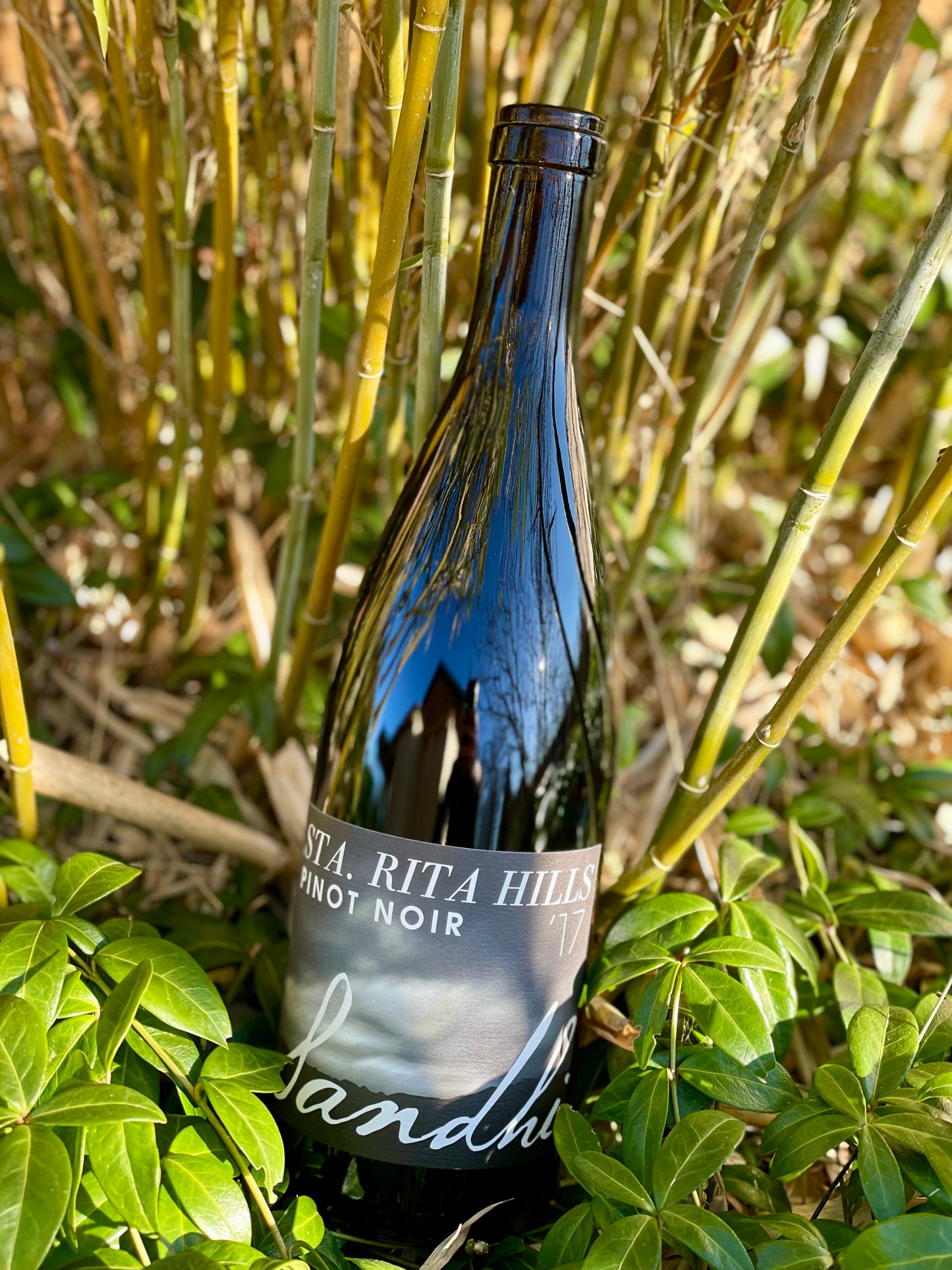 2017 Pinot Noir