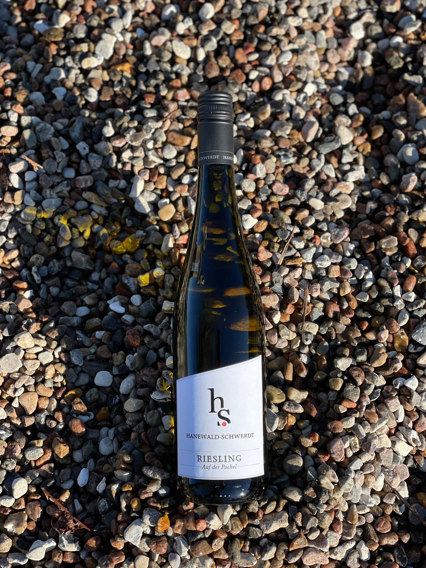 2022 Riesling "Auf der Pochel"
