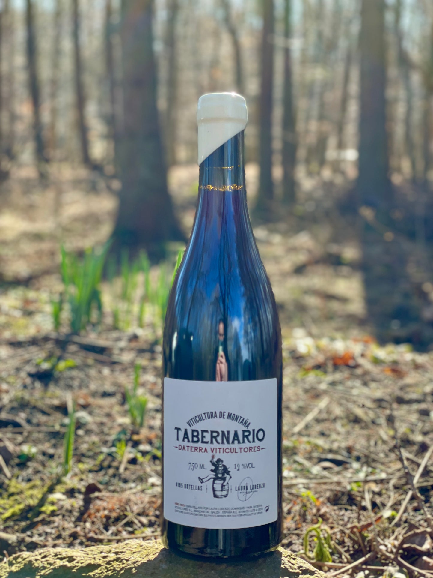 2018 Tabernario Tinto