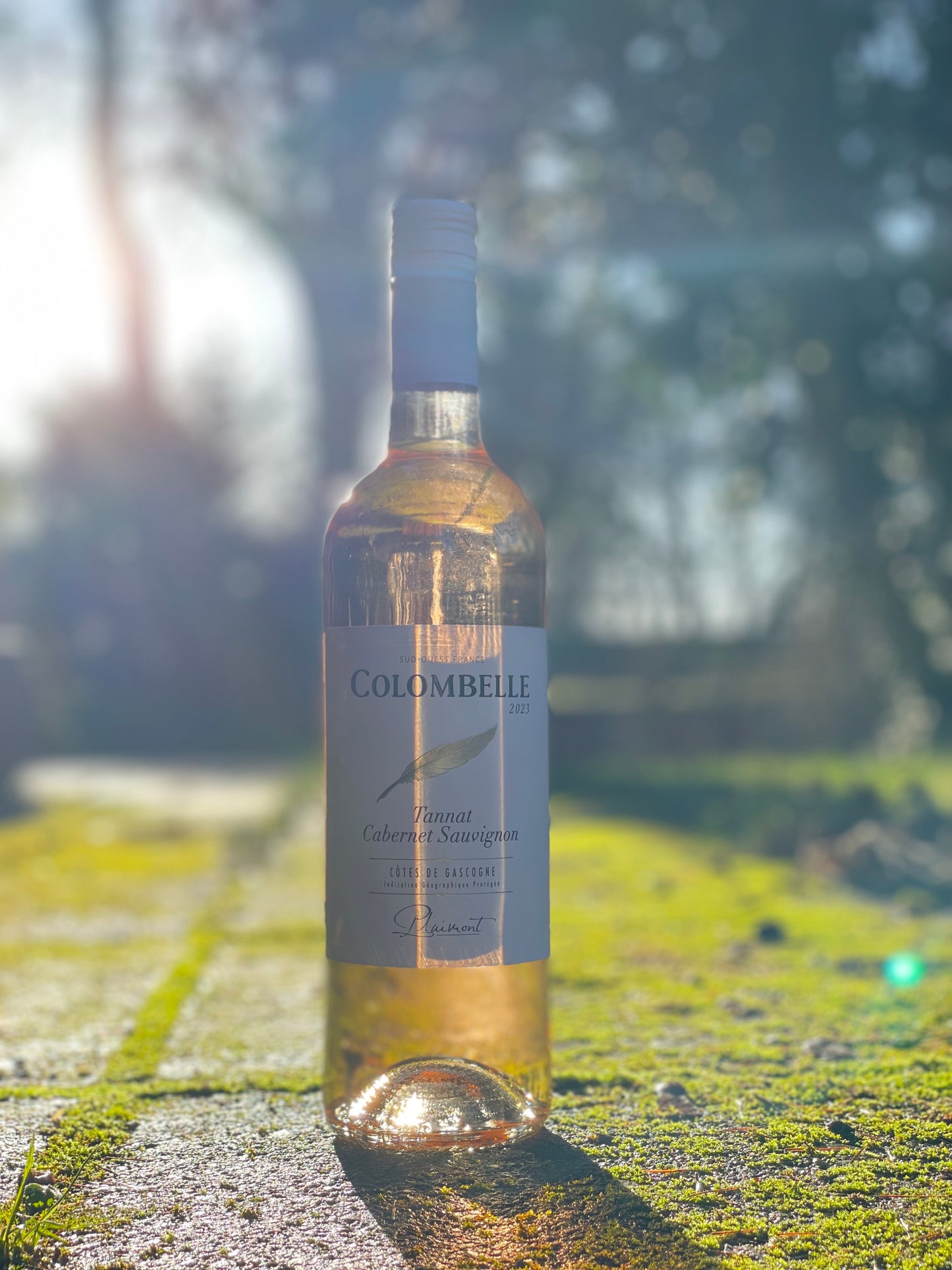 2023 Colombelle Rosé