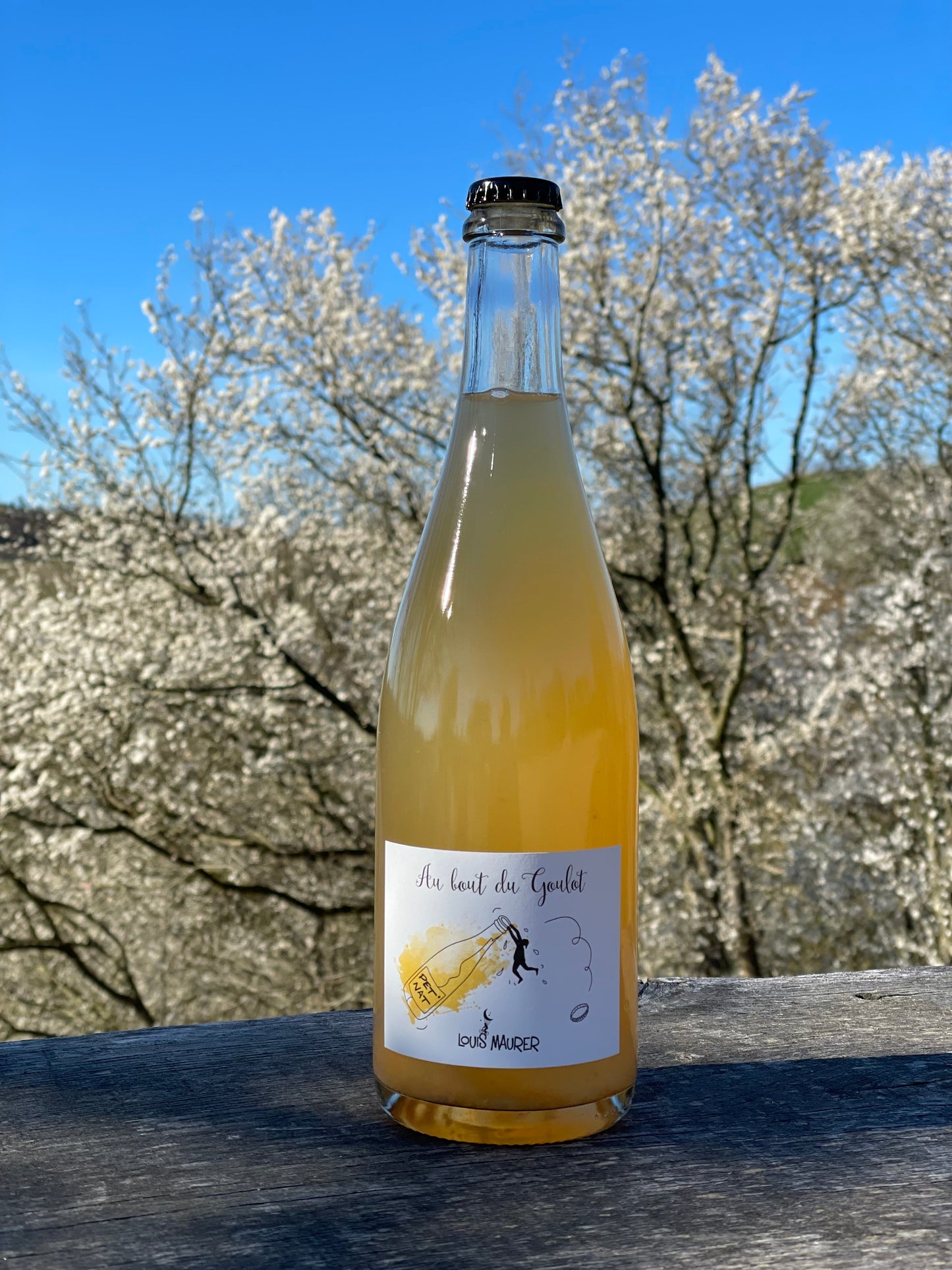 2023 Petnat Au bout du Goulot