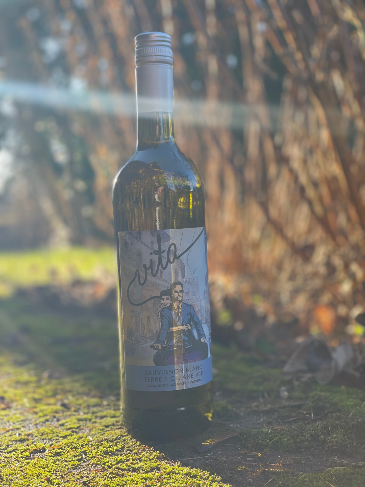 2022 Sauvignon Blanc “Vita”