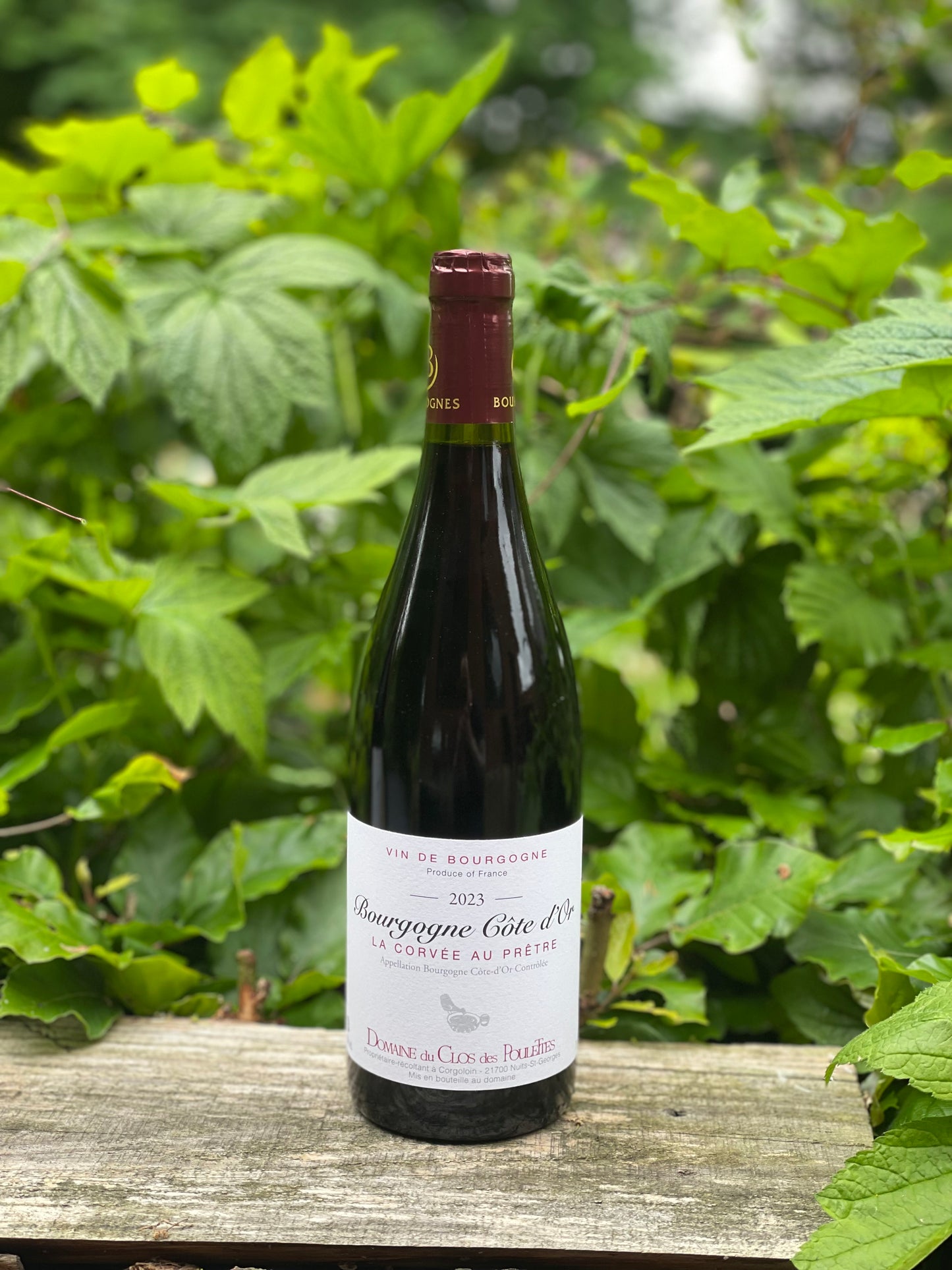 2023 Bourgogne Rouge "La Corvee au pretre"