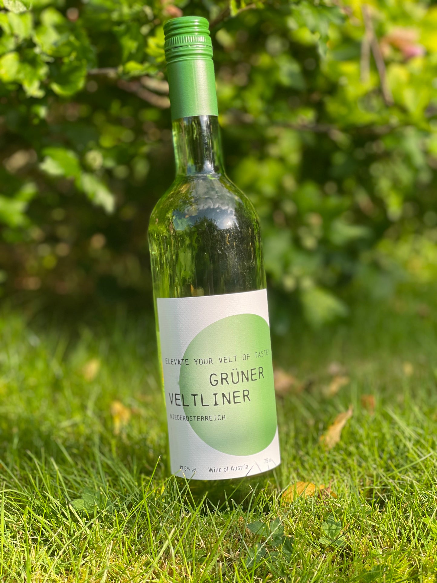 2024 Grüner Veltliner