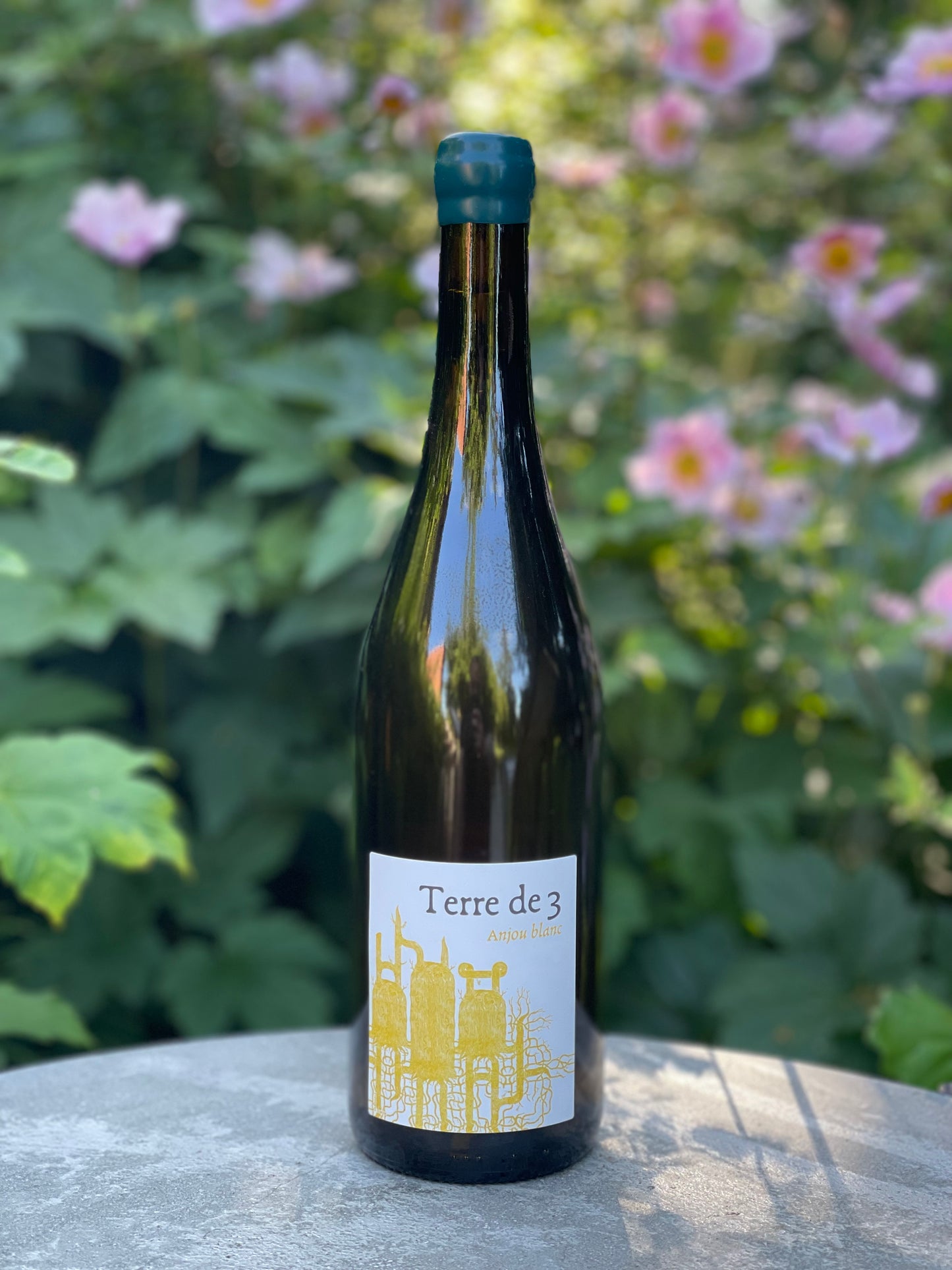 2023 Anjou Blanc "Terre de 3"