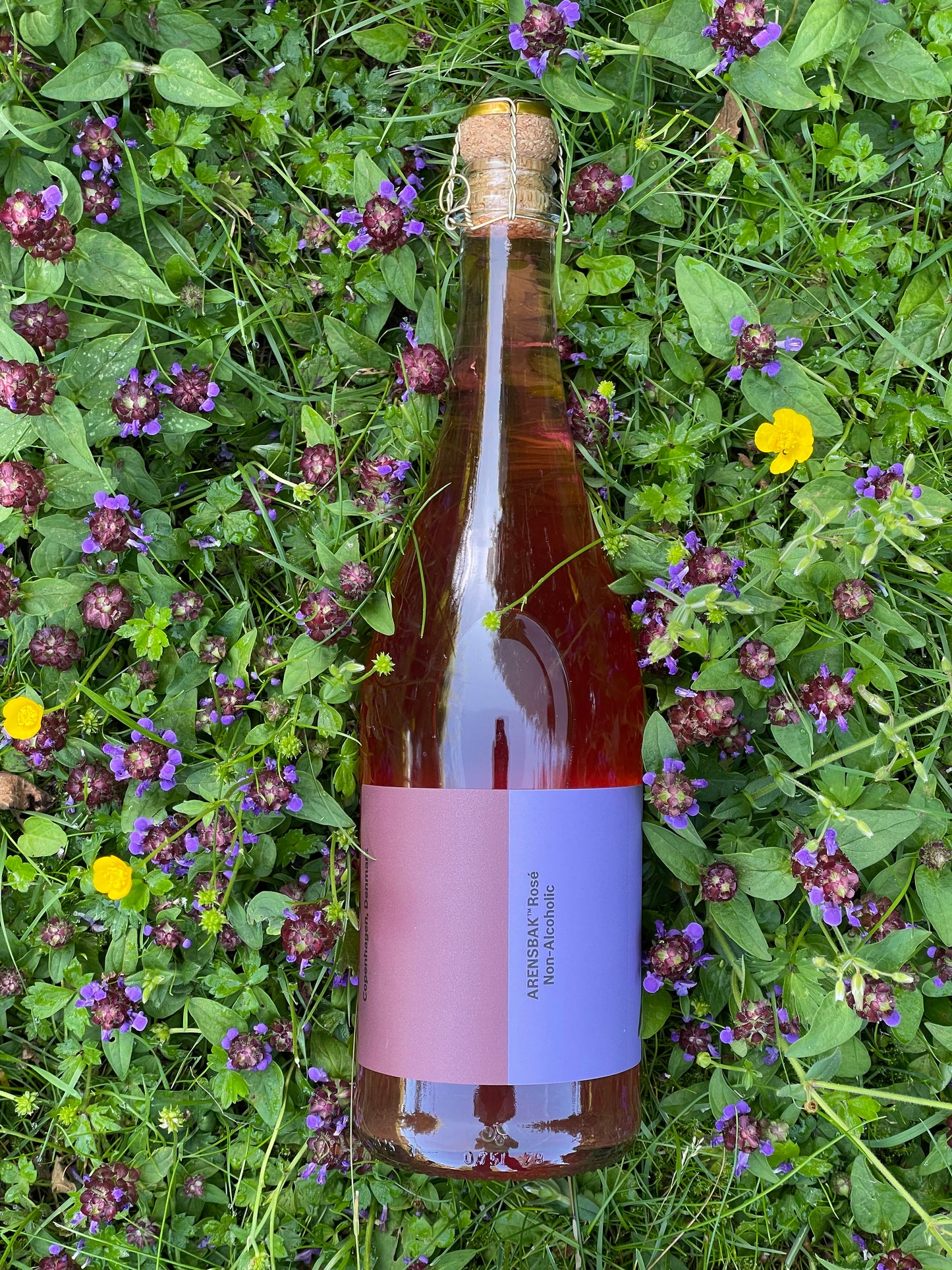Arensbak Rosé