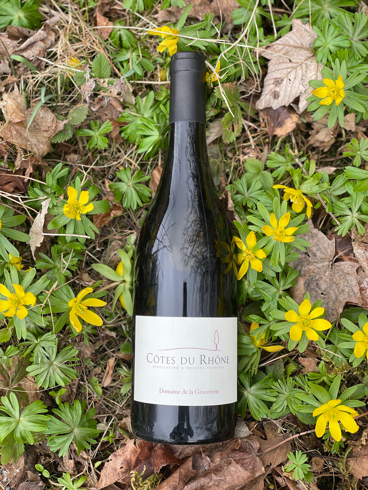2021 Côtes du Rhône