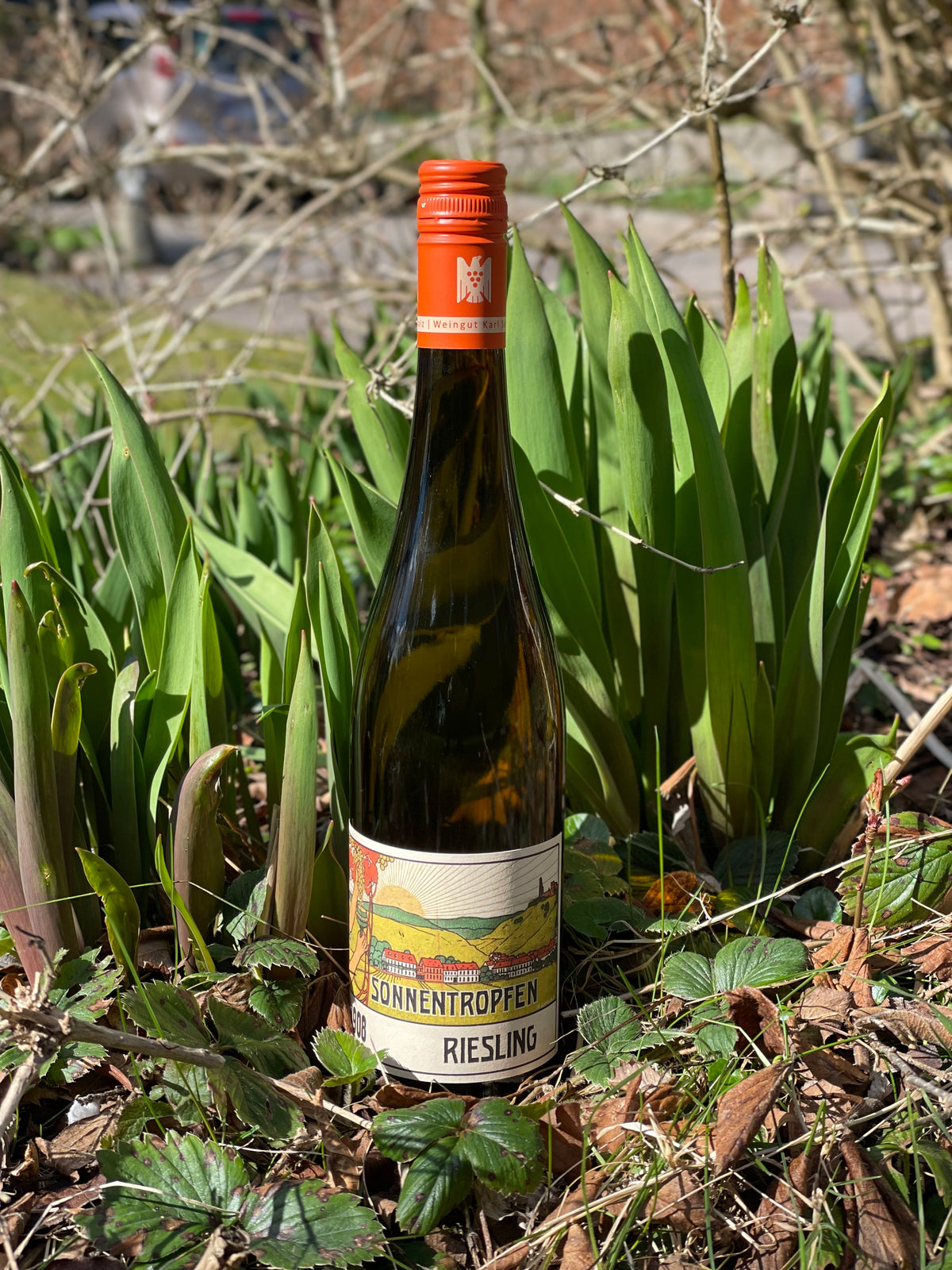2024 Riesling Trocken "Dürkheimer Sonnentropfen"