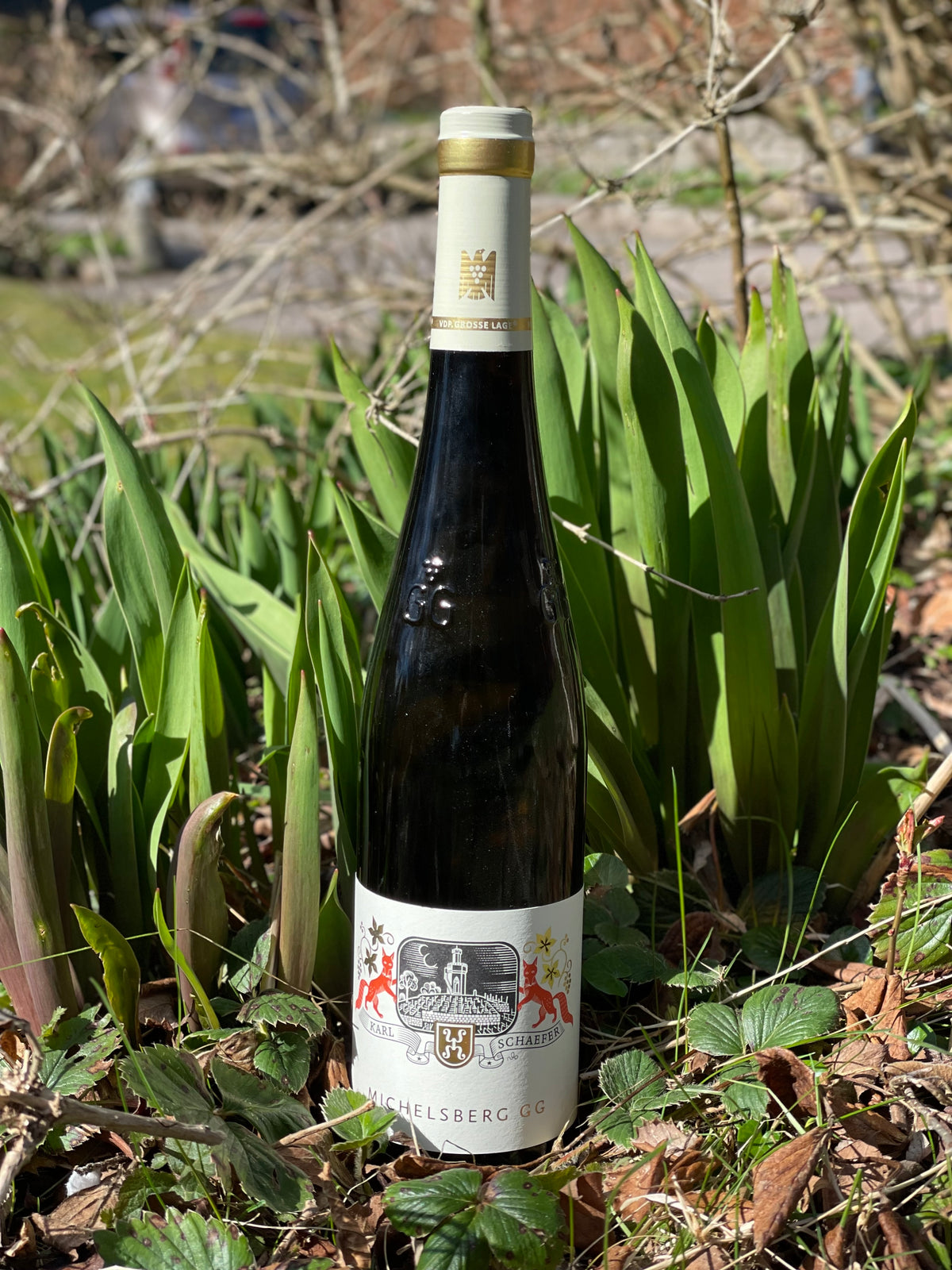 2022 Riesling GG "Michelsberg"