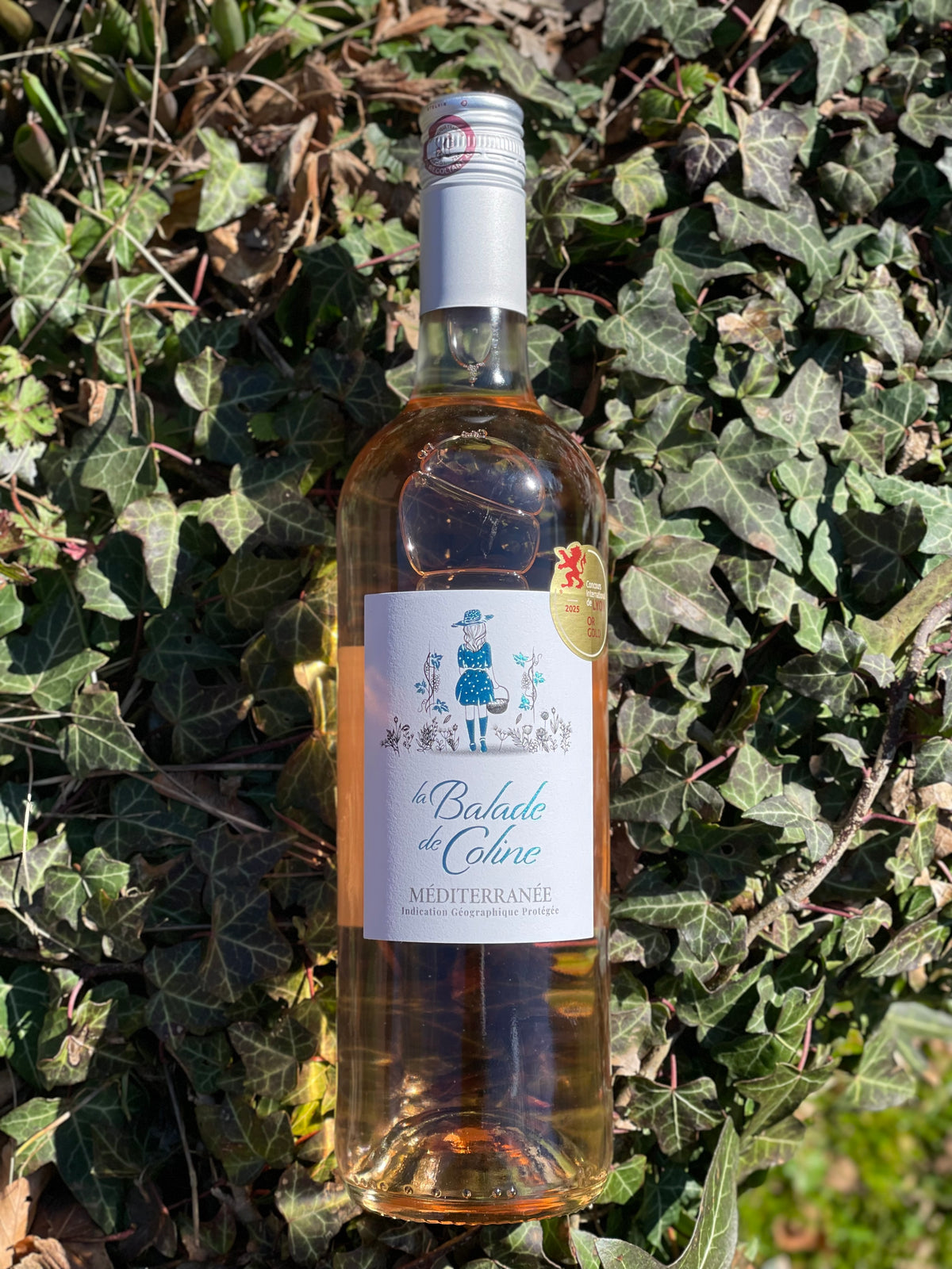 2024 Rosé "Vaucluse"
