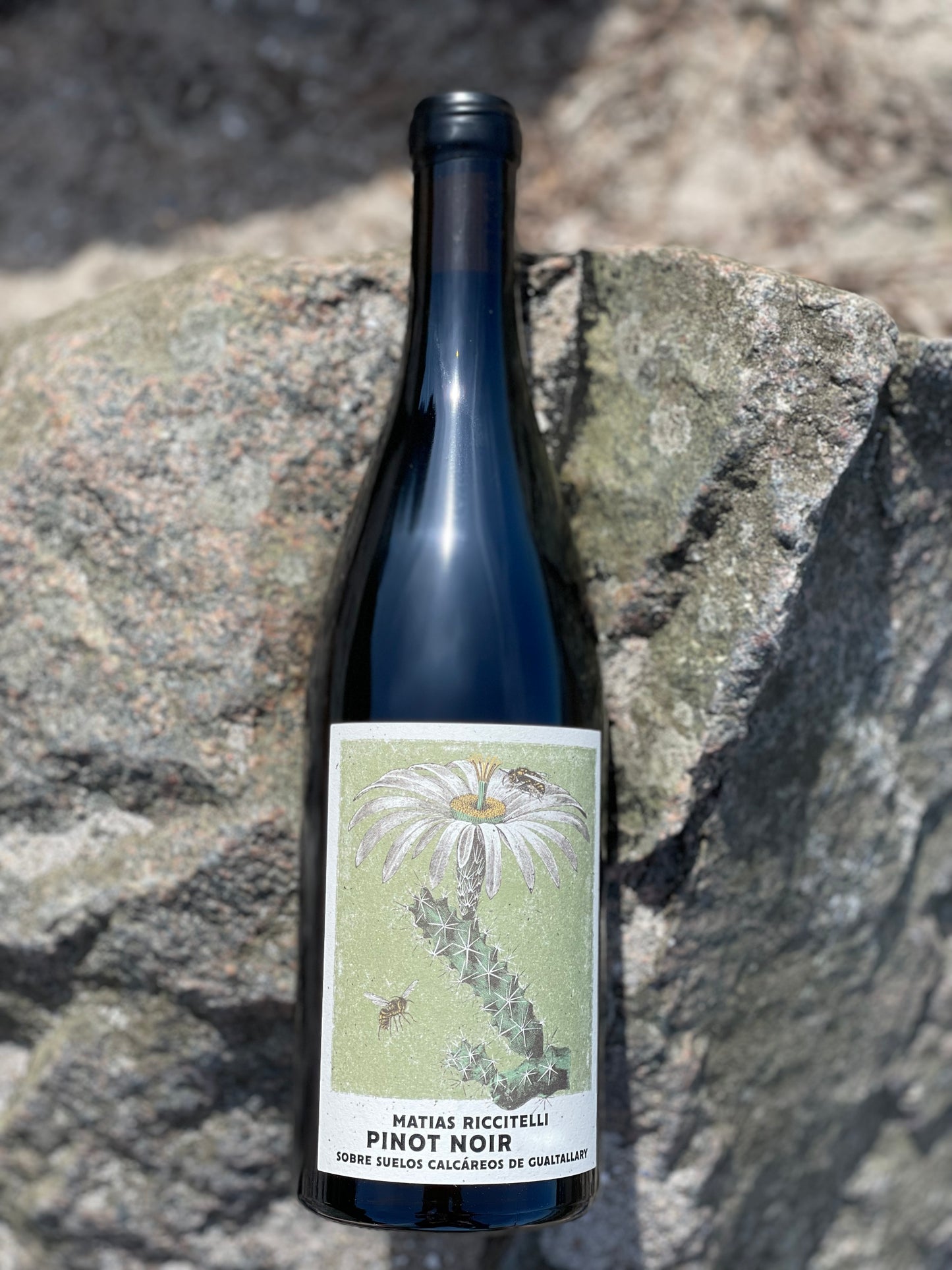 2020 Pinot Noir
