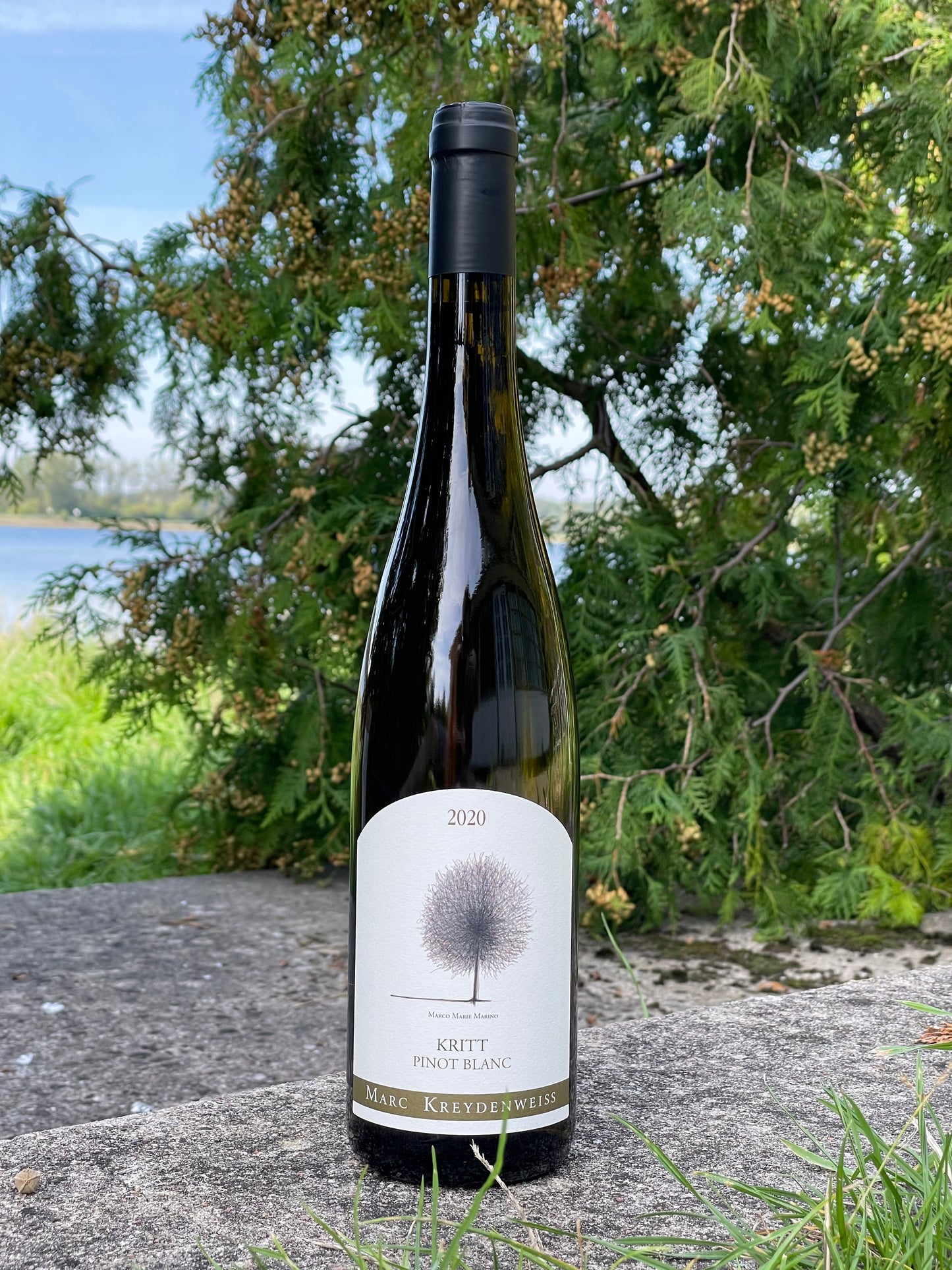 2020 Pinot Blanc "Kritt"