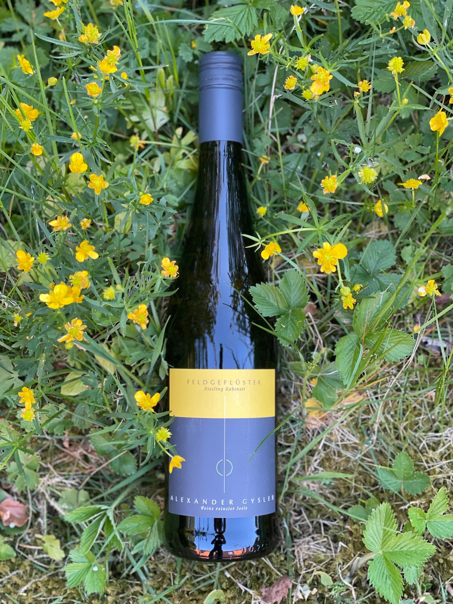 2021 Riesling Kabinett "Feldgeflüster"