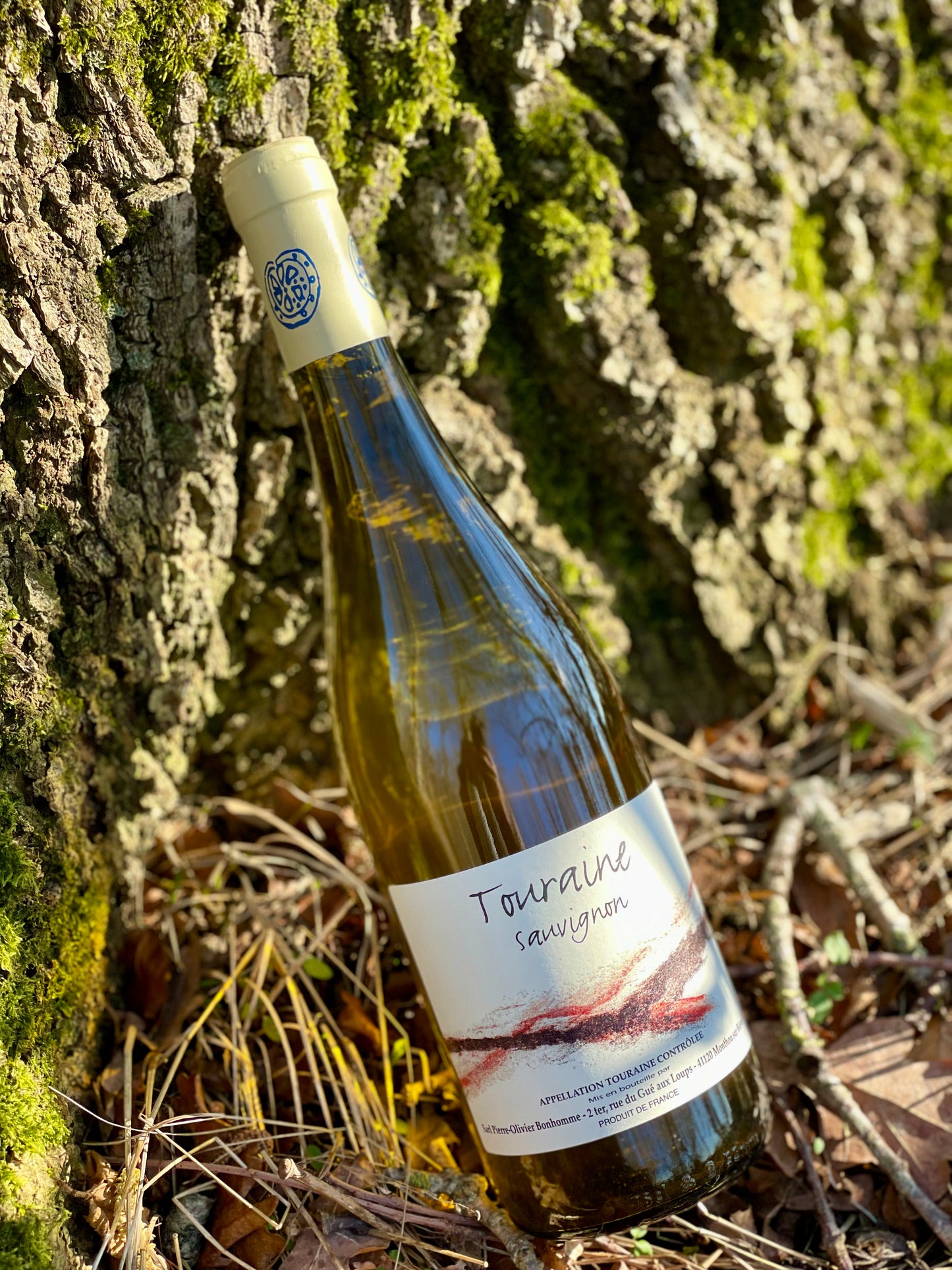 2022 Sauvignon Blanc