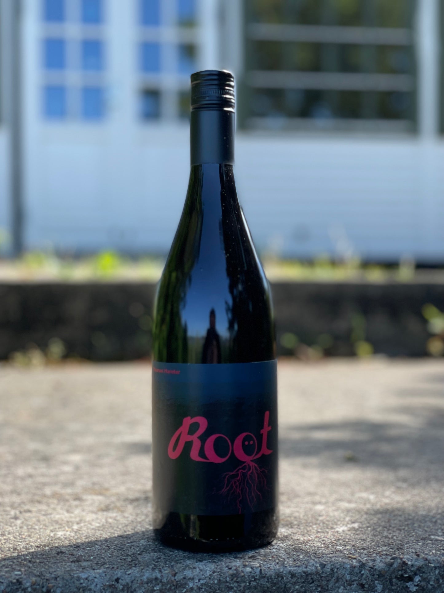 2019 Root