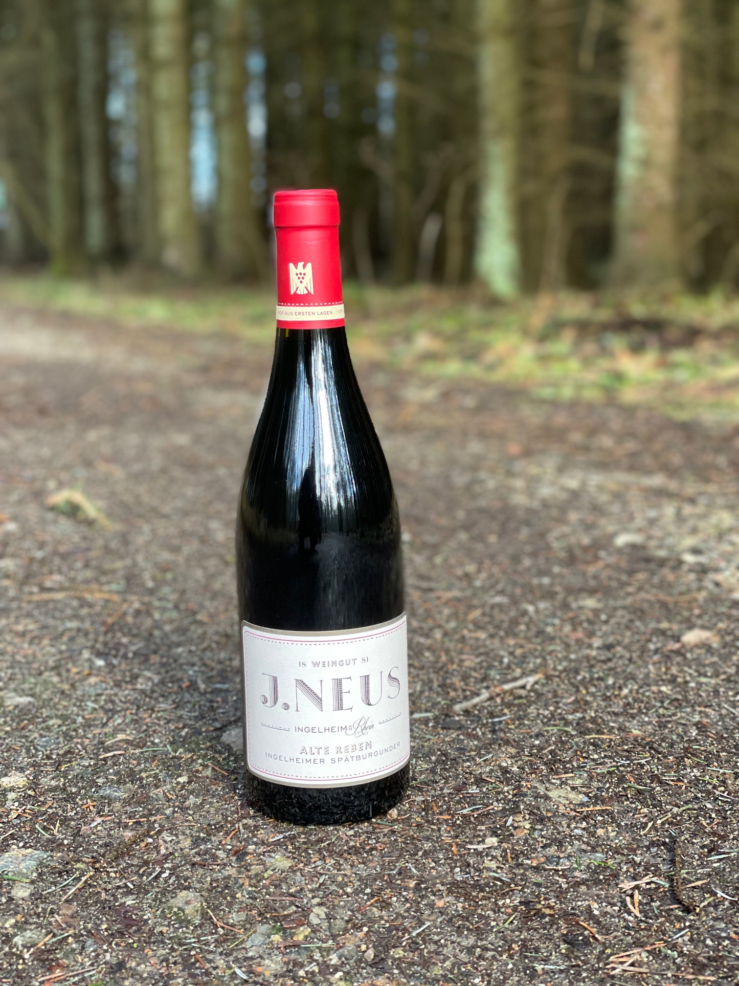 2019 Spätburgunder "Alte Reben"