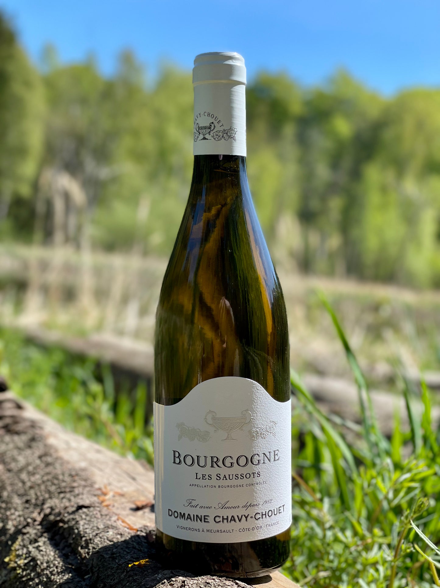 2020 Bourgogne Blanc "Les Saussots"